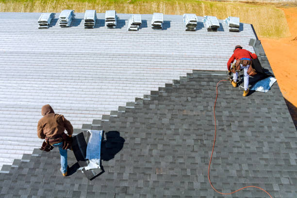 Best Roof Gutter Cleaning  in Camp Swift, TX